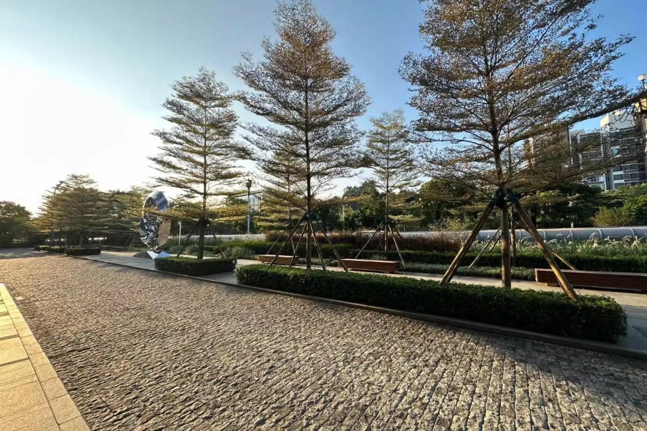 20250908022837419.jpg写字楼图片191