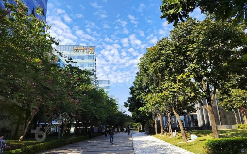 20250908063418927.jpg写字楼图片229